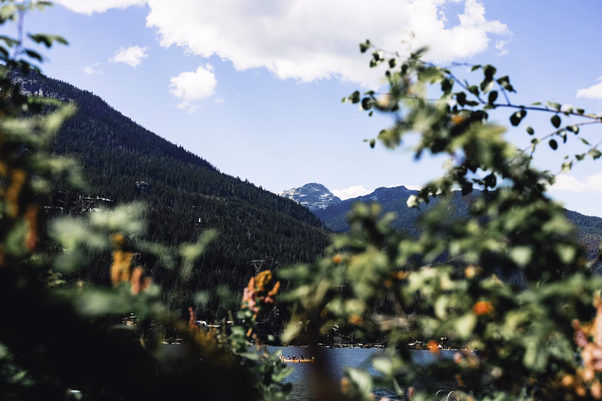 Finding Serenity in Nature: The Benefits of Forest Bathing
