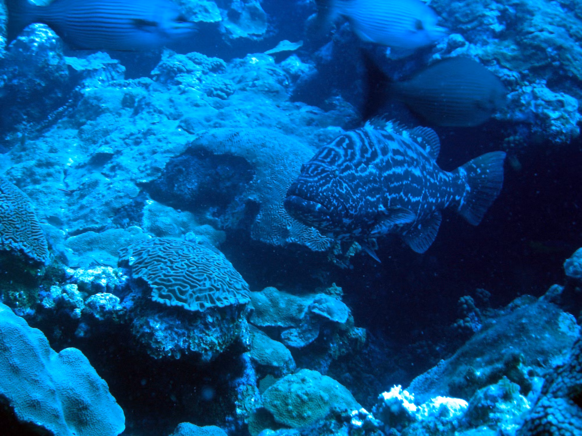 Hidden Gems: Exploring Lesser-Known Travel Destinations